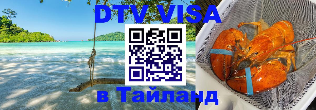 Оформление DTV визы под ключ: стоимость и тарифы, только загранпаспорт - Михайловск  20.11.2025 